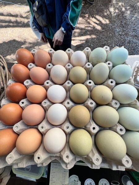 Huevos de Campo 25% OFF Combaday 🚀